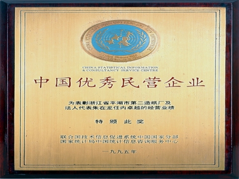 Outstanding private enterprises in China